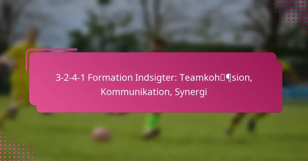 3-2-4-1 Formation Indsigter: Teamkohæsion, Kommunikation, Synergi