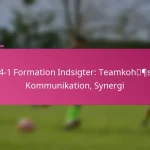 3-2-4-1 Formation Indsigter: Teamkohæsion, Kommunikation, Synergi