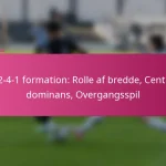 3-2-4-1 formation: Rolle af bredde, Central dominans, Overgangsspil