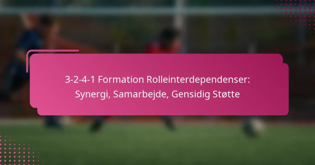 3-2-4-1 Formation Rolleinterdependenser: Synergi, Samarbejde, Gensidig Støtte