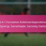 3-2-4-1 Formation Rolleinterdependenser: Synergi, Samarbejde, Gensidig Støtte