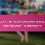 3-2-4-1 formationsdynamik: Fluiditet, Udskiftelighed, Tilpasningsevne
