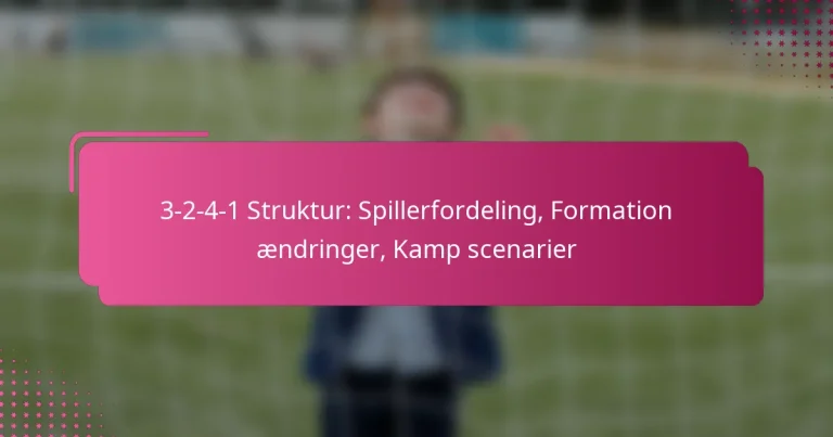 3-2-4-1 Struktur: Spillerfordeling, Formation ændringer, Kamp scenarier
