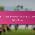 3-2-4-1 Taktisk Synergi: Samarbejde, Samspil, Spiller kemi