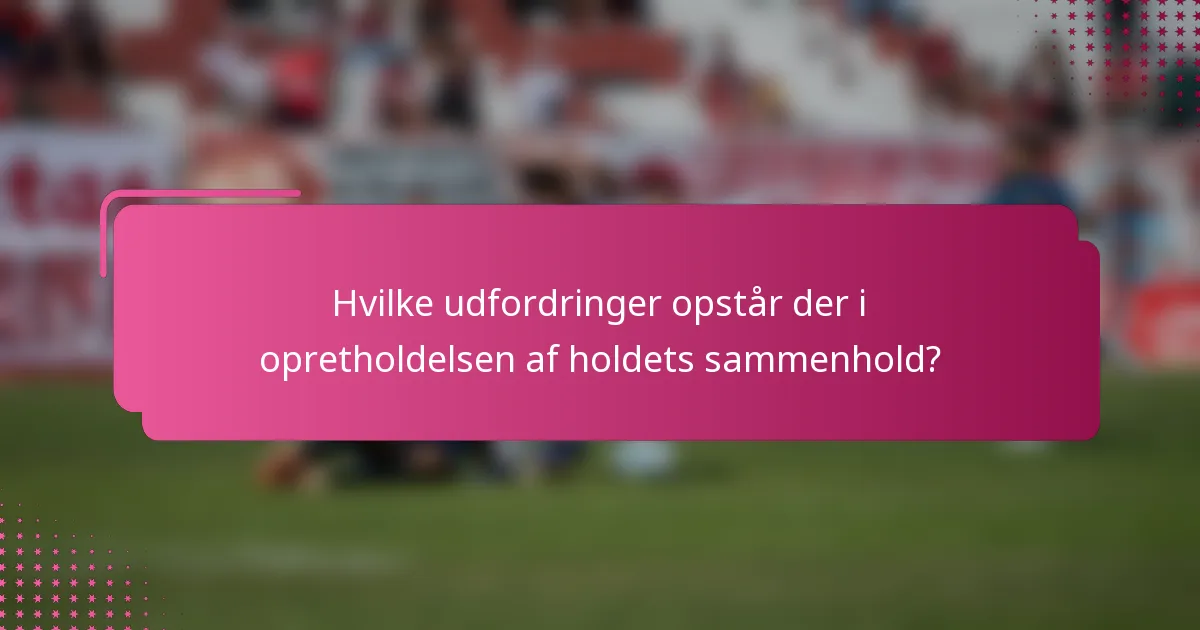 Hvilke udfordringer opstår der i opretholdelsen af holdets sammenhold?